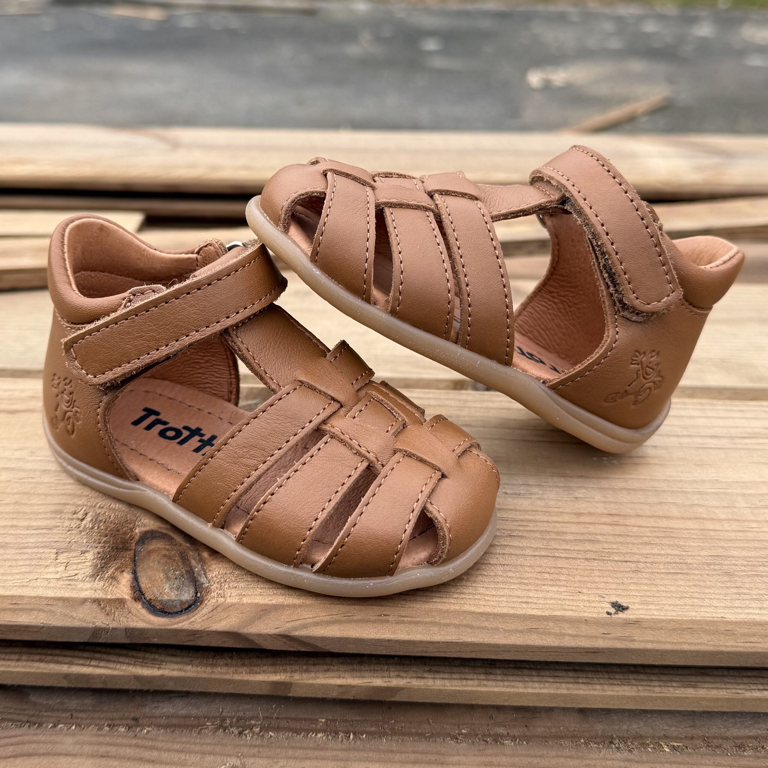 Lino camel – Image 3