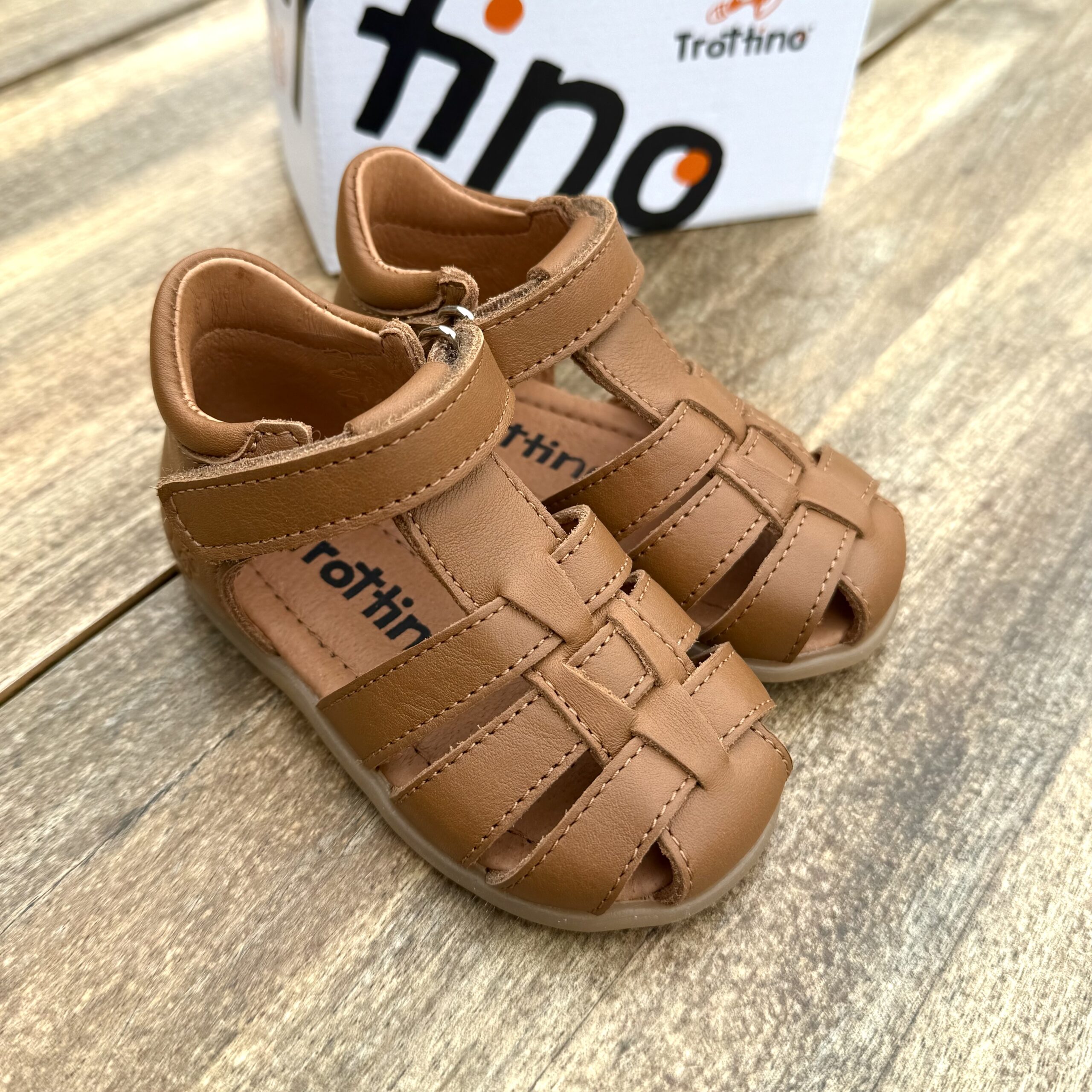 Lino camel – Image 2