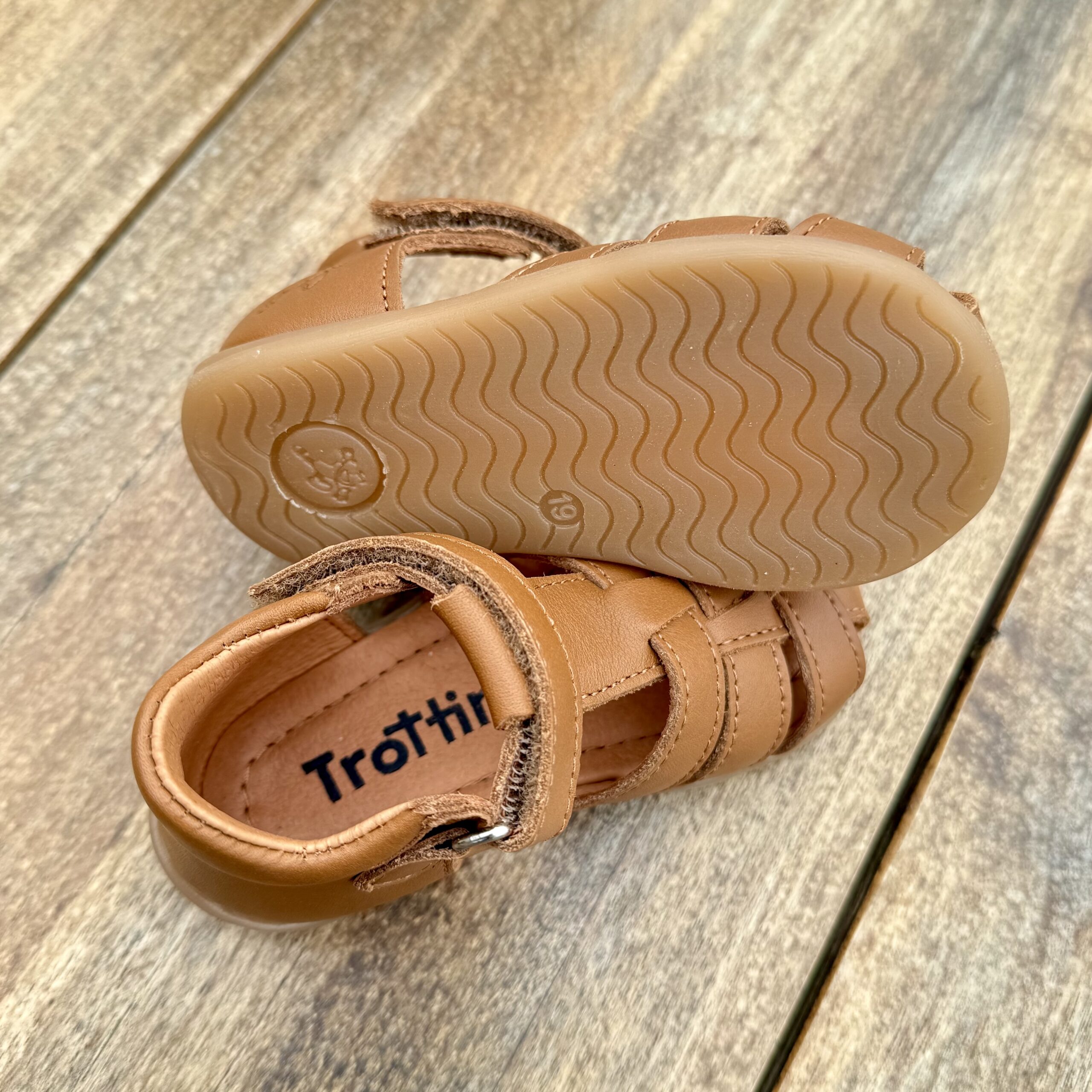 Lino camel – Image 4